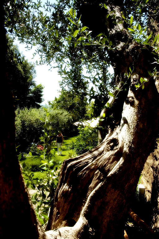 Locanda Delle Mura Anna De Croy Magliano in Toscana Exterior foto